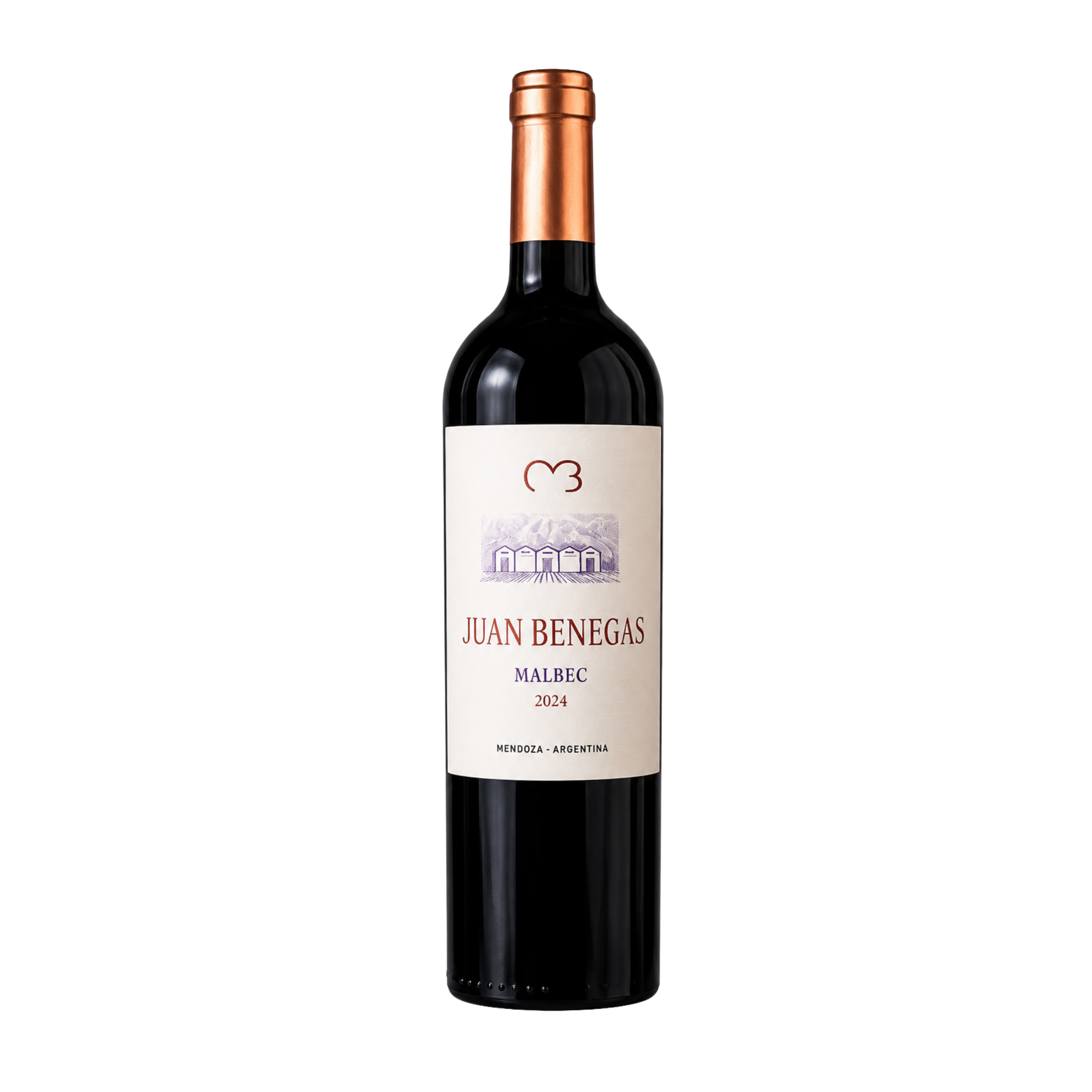 Vin rouge Juan Benegas Malbec Mendoza 2024 - 750ml