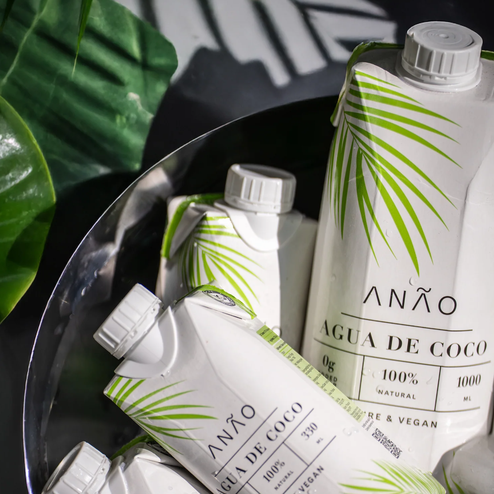 Anao Kokoswasser 12 x 1l