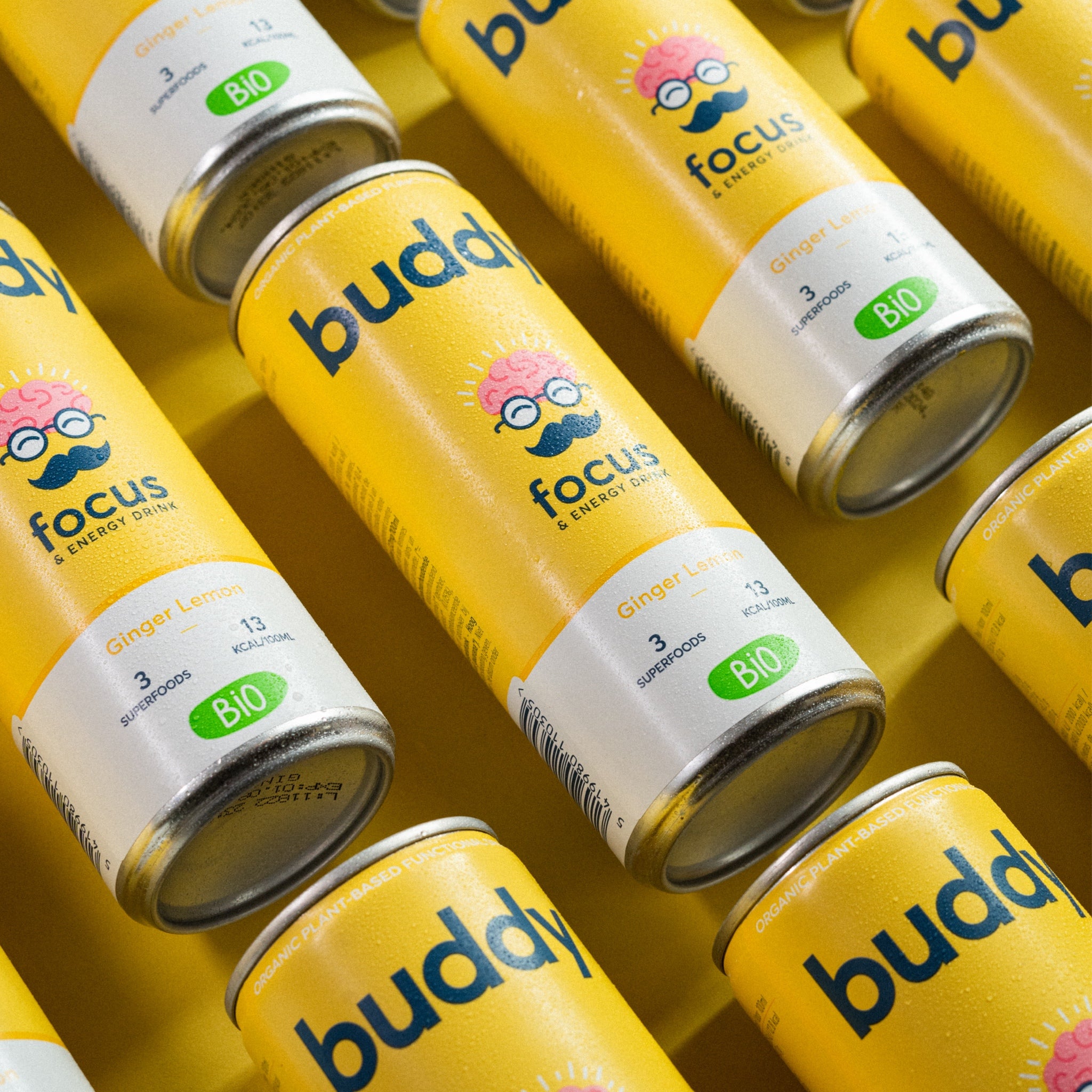 Natural Energy Drink - Ginger & Lemon Bio 250ml