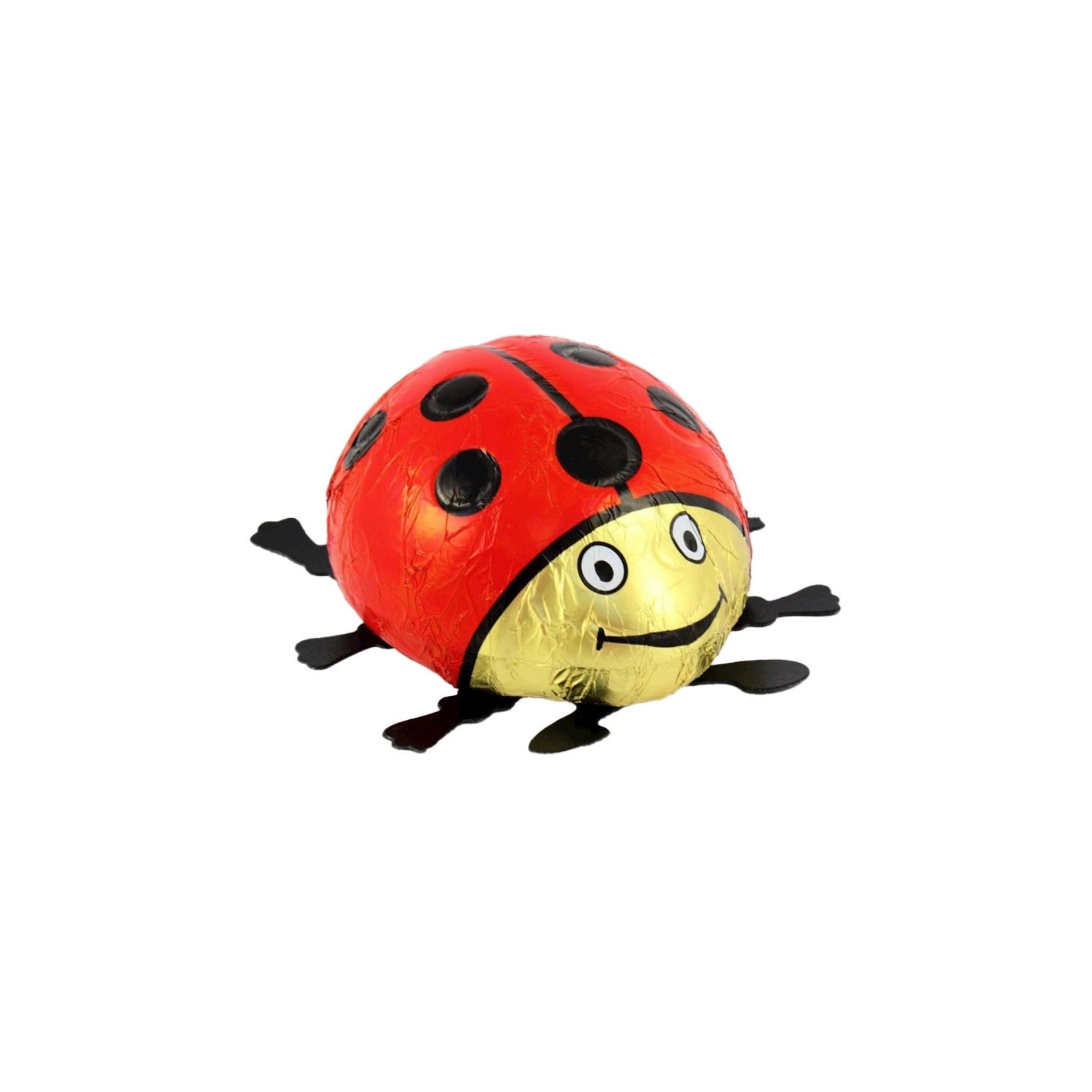 Schokoladen Glückskäfer 80g