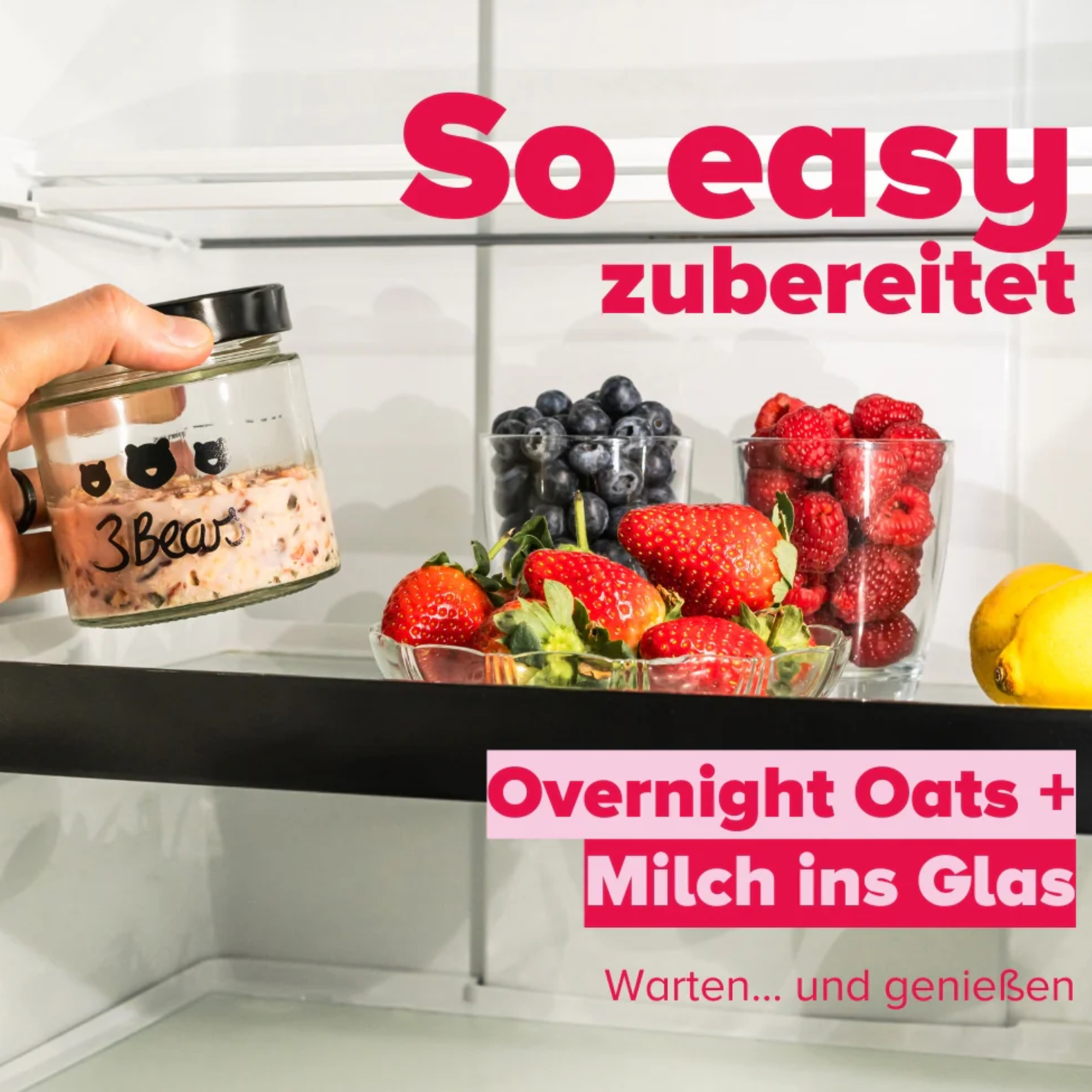 Overnight Oats - Edle Erdbeere 400g