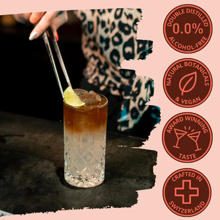 Alternative au rhum Dark Spice sans alcool 500 ml