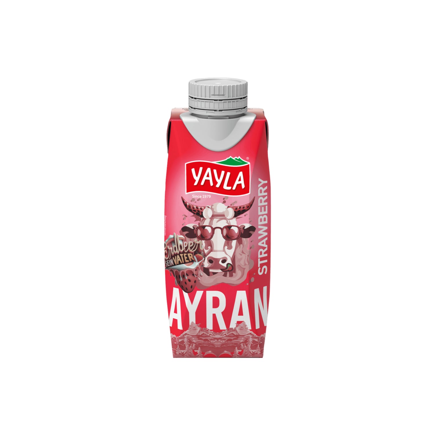 Ayran Joghurt-Drink Erdbeere 250ml
