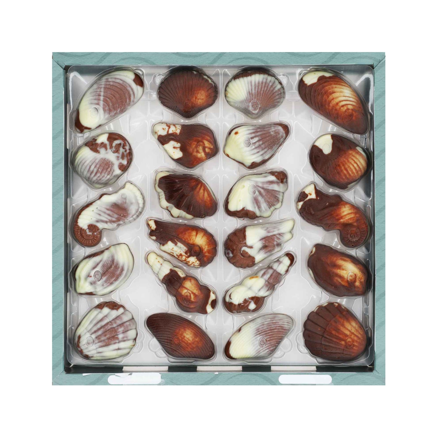 Pralinen Seashells mit Nuss-Nougat-Füllung 250g