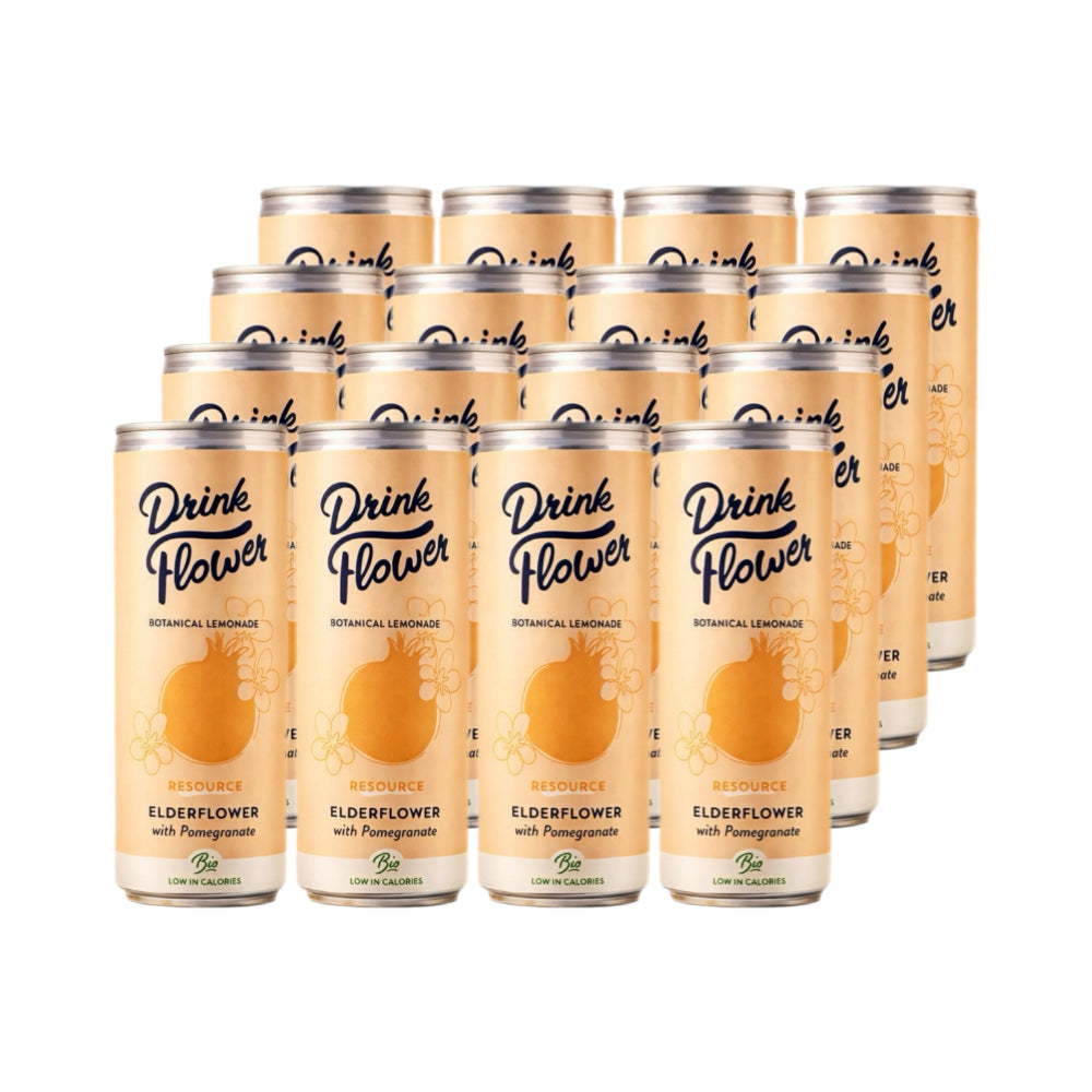Erfrischungsgetränk Holunderblüte 12 x 250ml