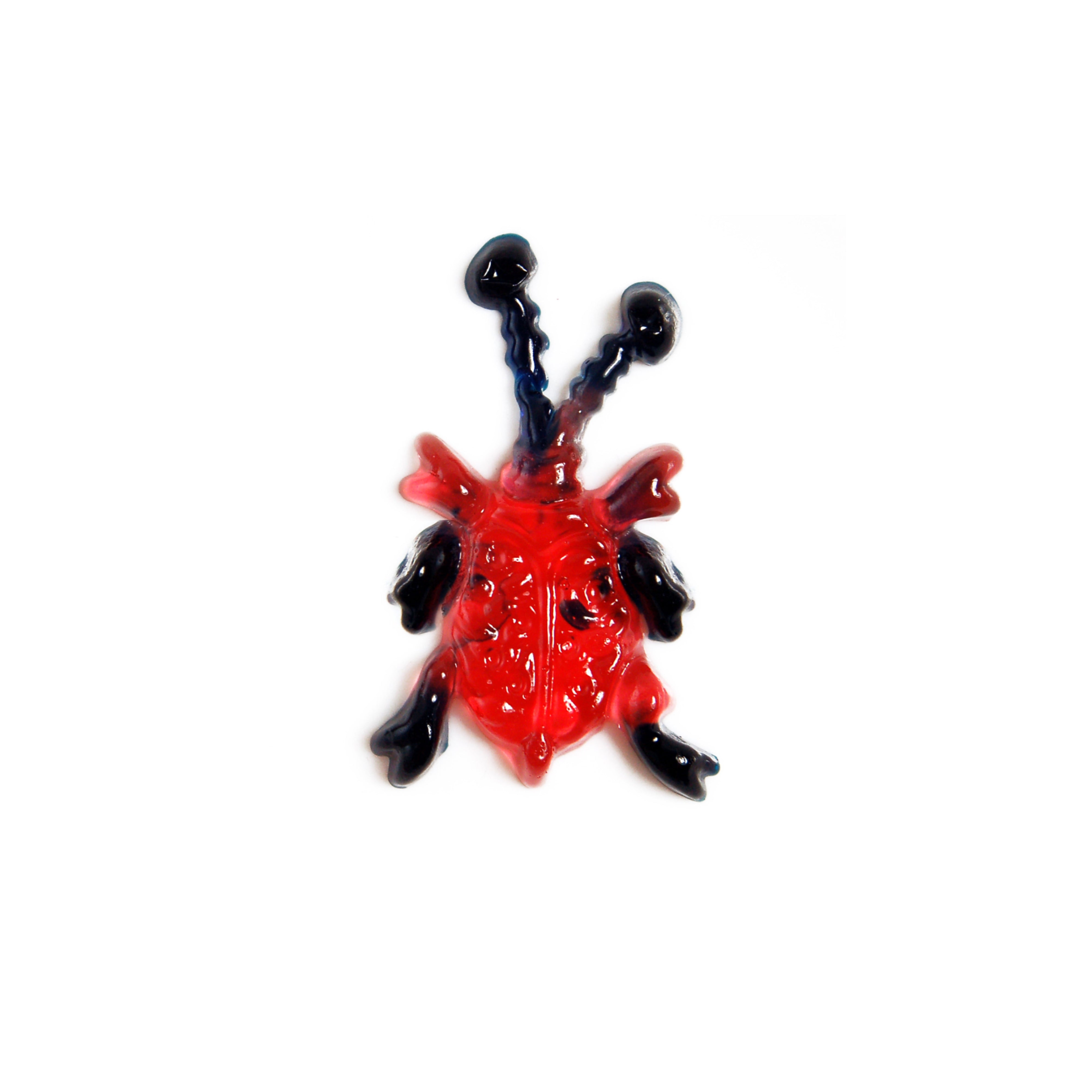 Creepy Jelly Süssigkeiten 6er Pack - 66g
