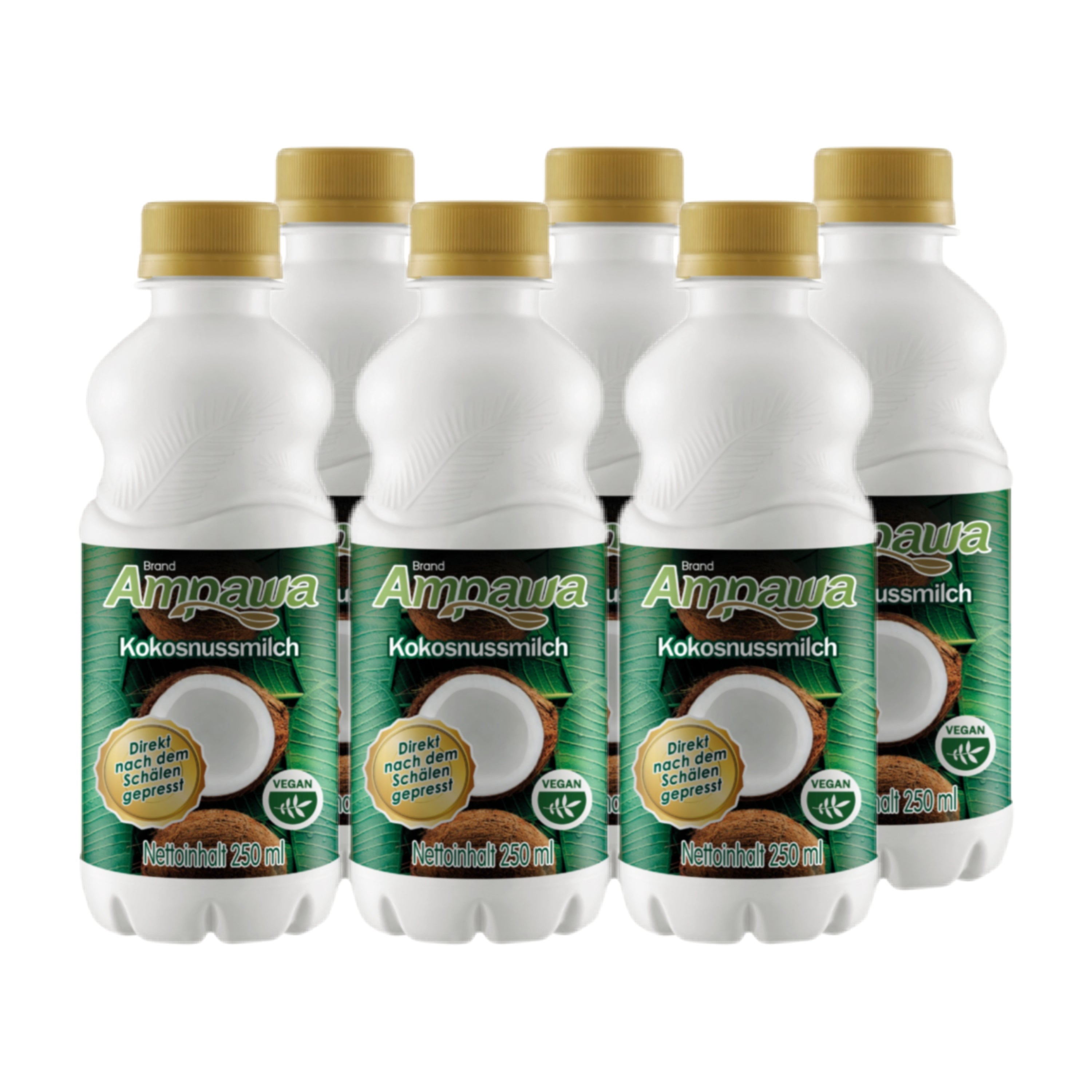 Kokosnussmilch 6 x 250ml