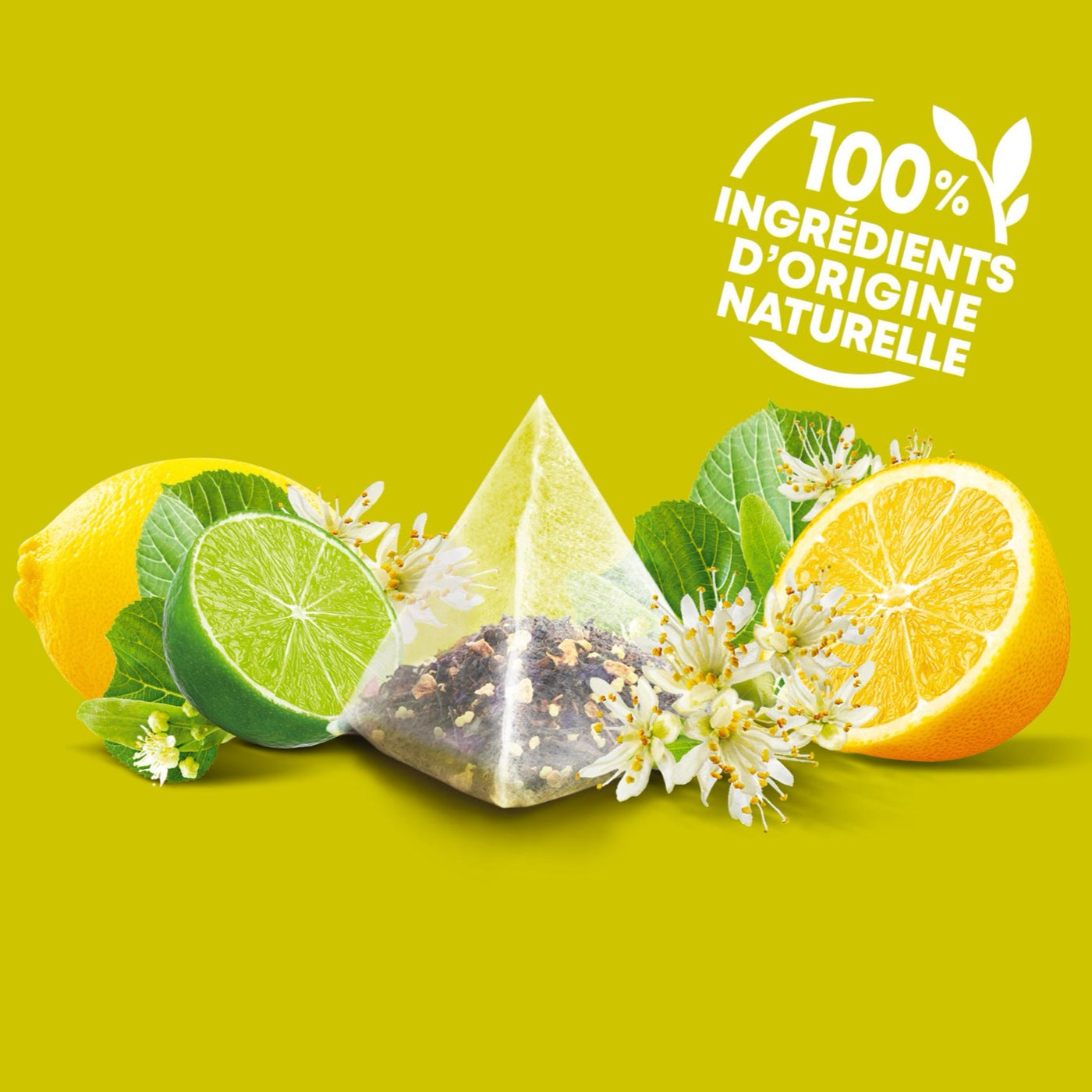 Tee Infusion Lindenblüte & Zitrone Bio - 20 Beutel - 28g