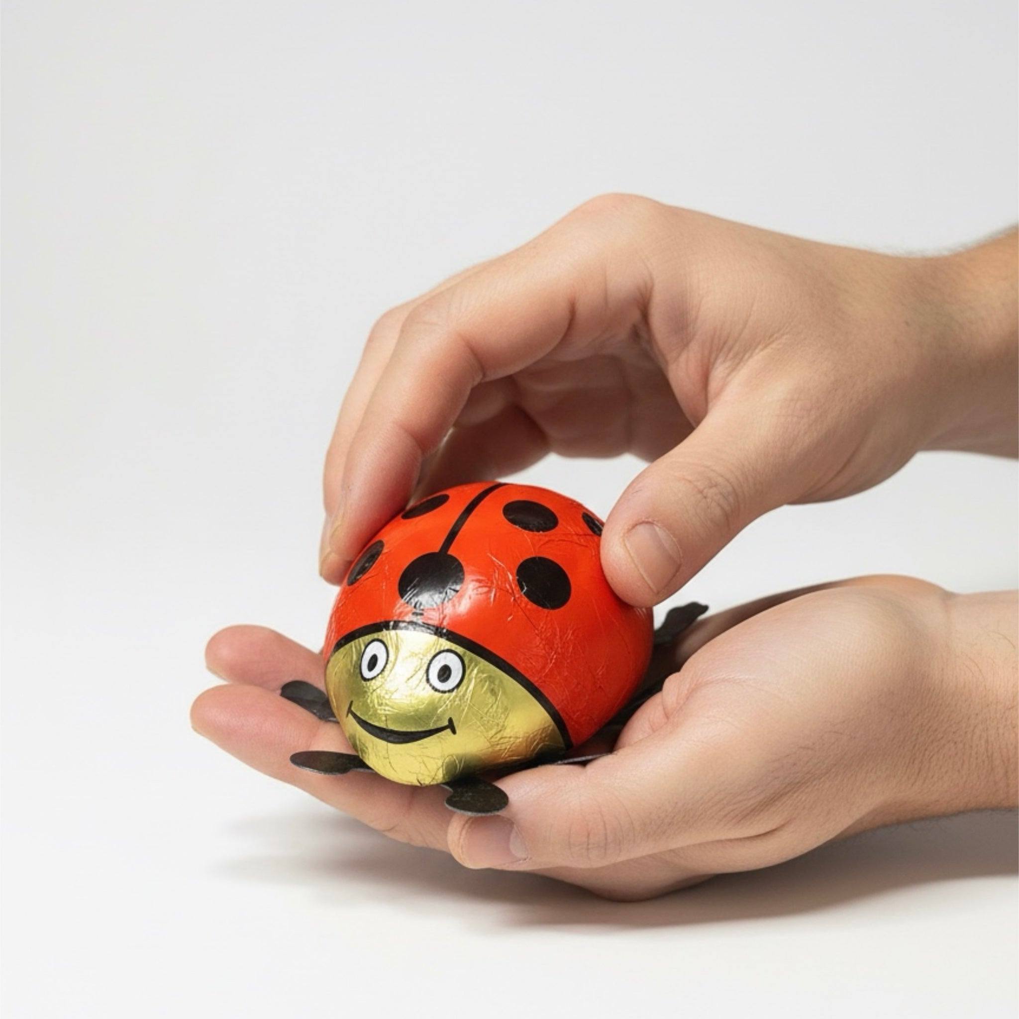 Schokoladen Glückskäfer 80g