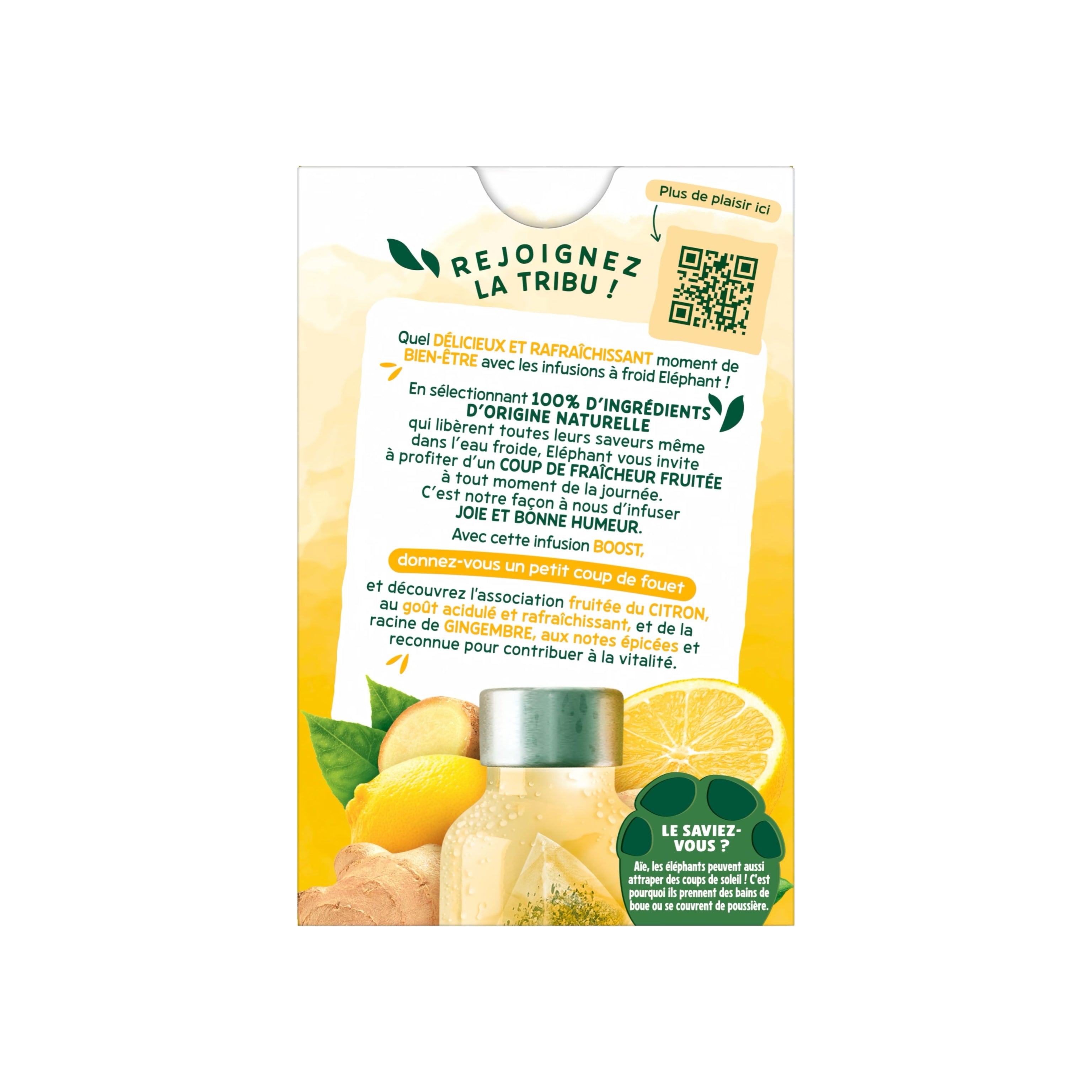 Tee Boost Cold Infusion - 15 Beutel - 34.5g