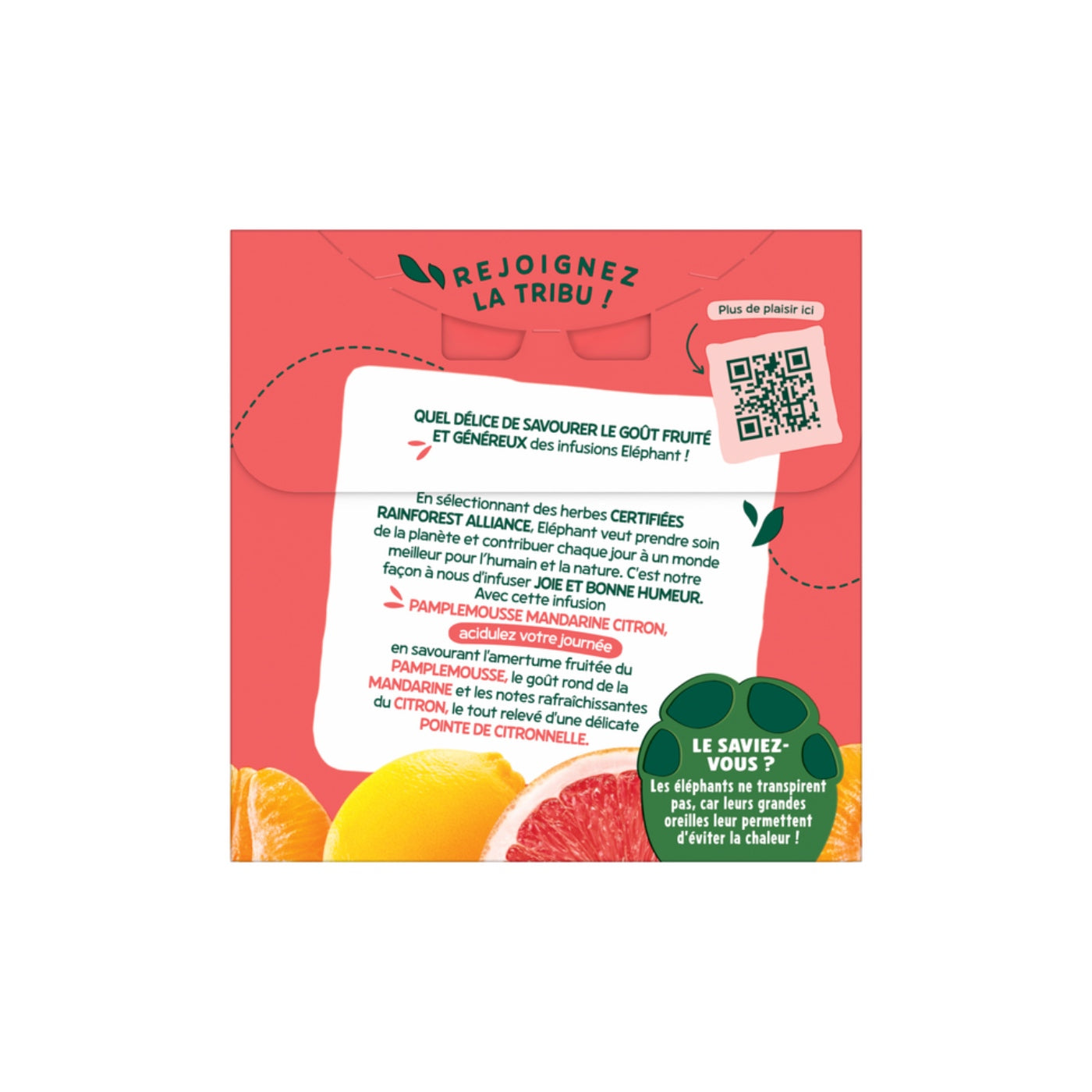 Tee Infusion Grapefruit & Mandarine Bio - 20 Beutel - 38g