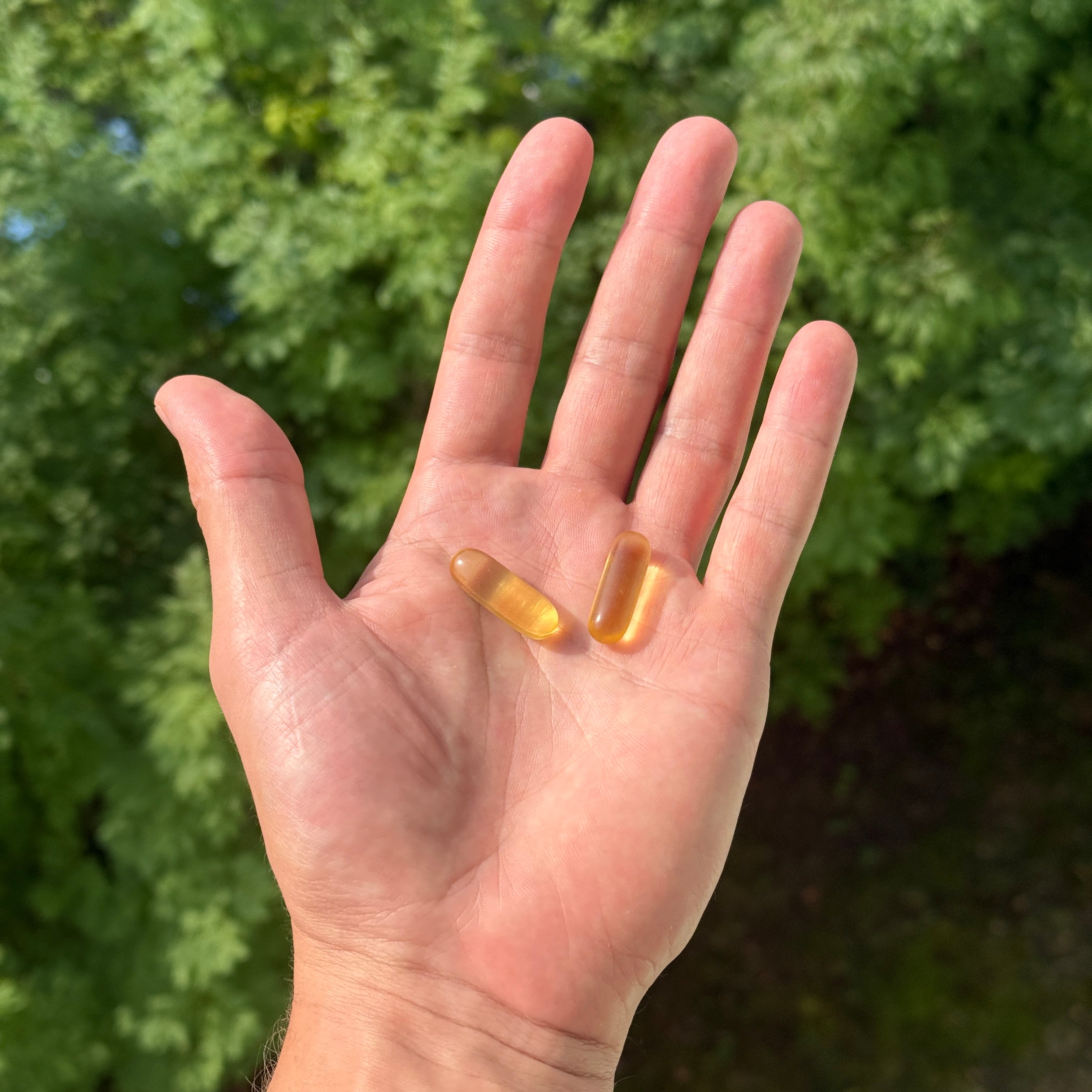 Capsules d'oméga-3 - 30 pièces