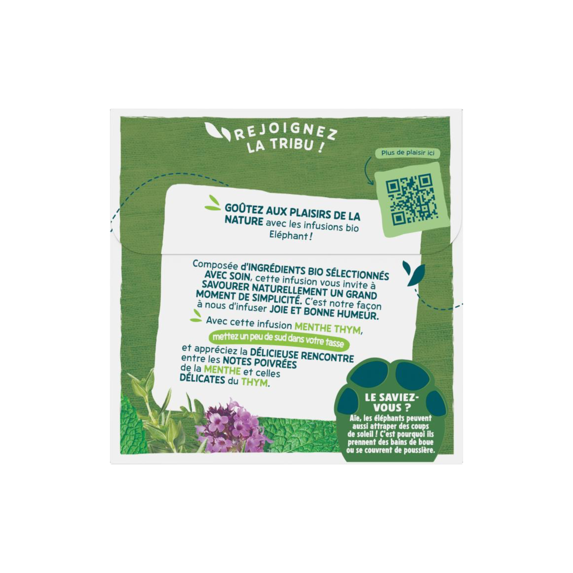 Tee Infusion Minze & Thymian Bio - 20 Beutel