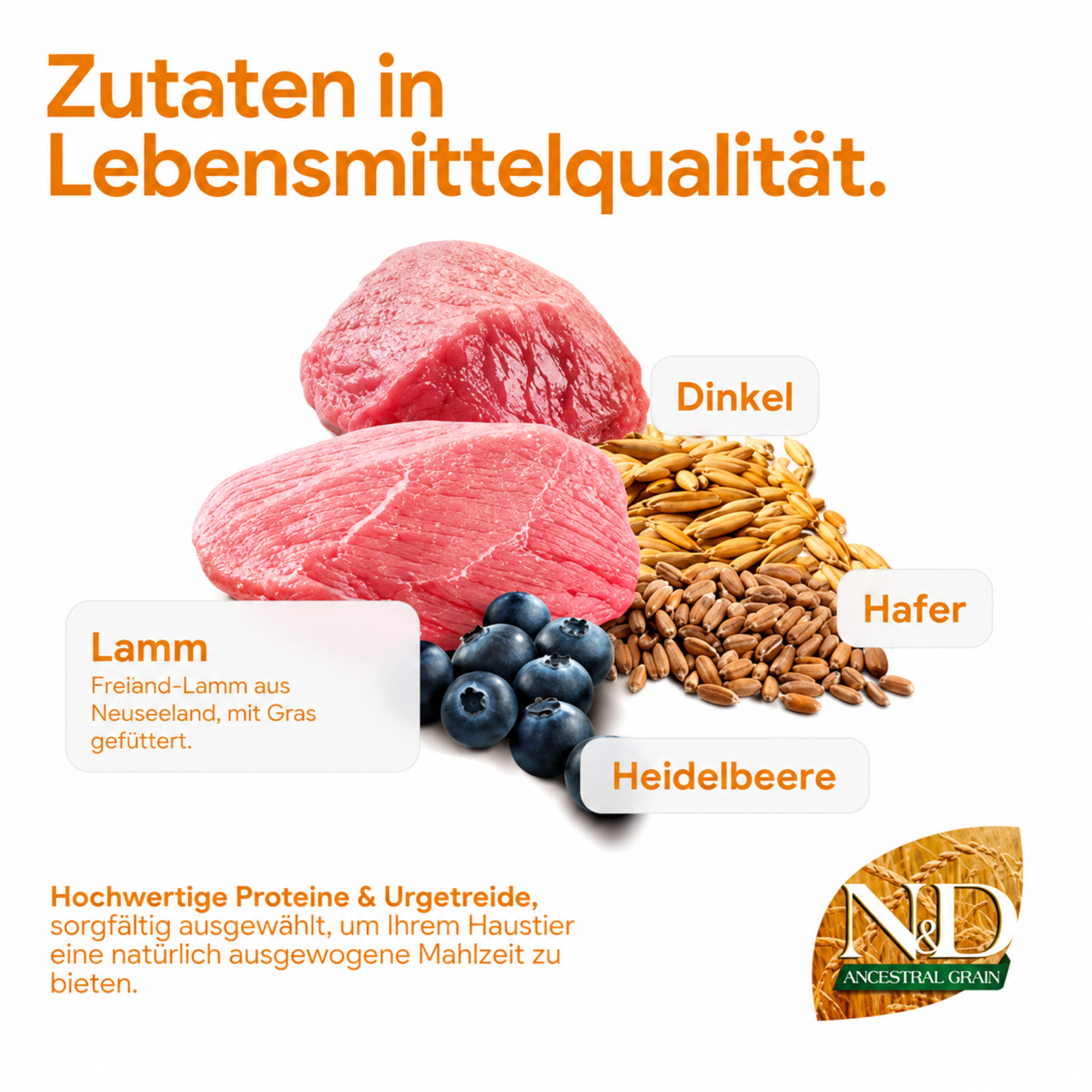 Hundefutter Mini Lamm, Hafer & Heidelbeere 800g