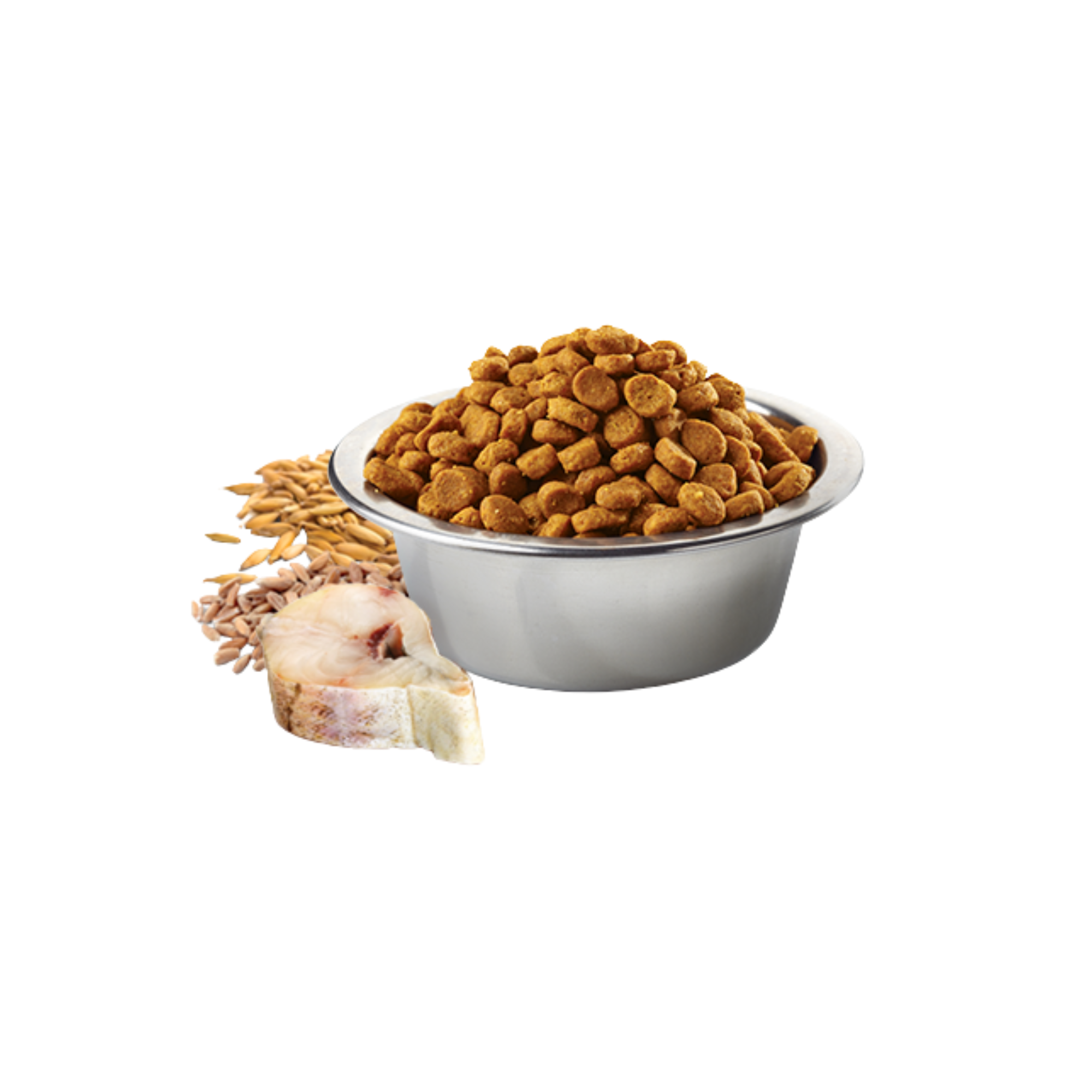 Hundefutter Adult Mini Kabeljau & Orange 800g