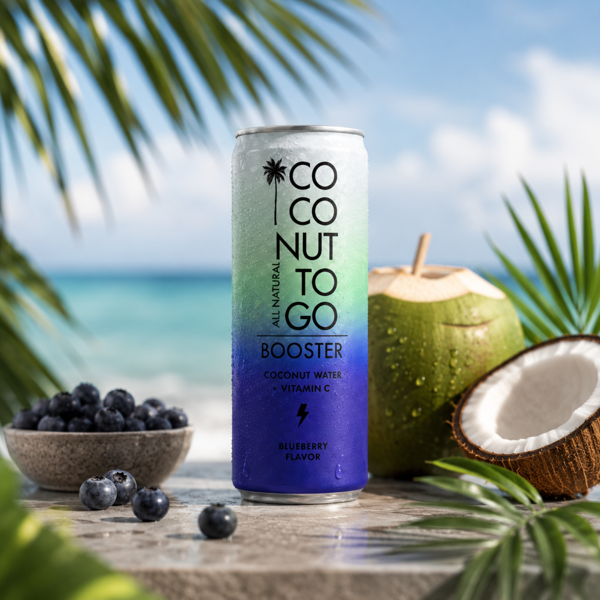 Coconut Water Blueberry Booster 330ml