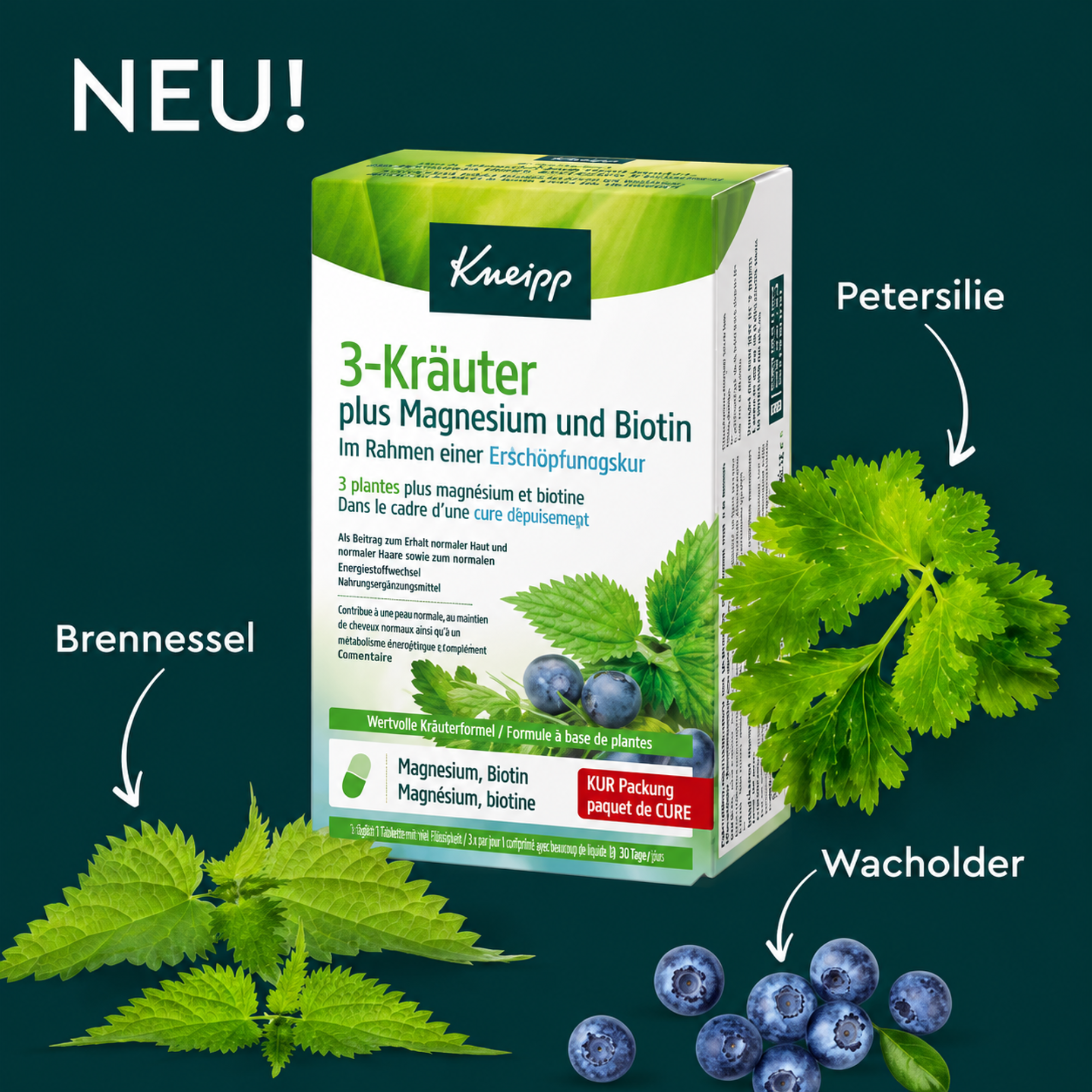 3 Herbs + Magnesium and Biotin - 60 Capsules