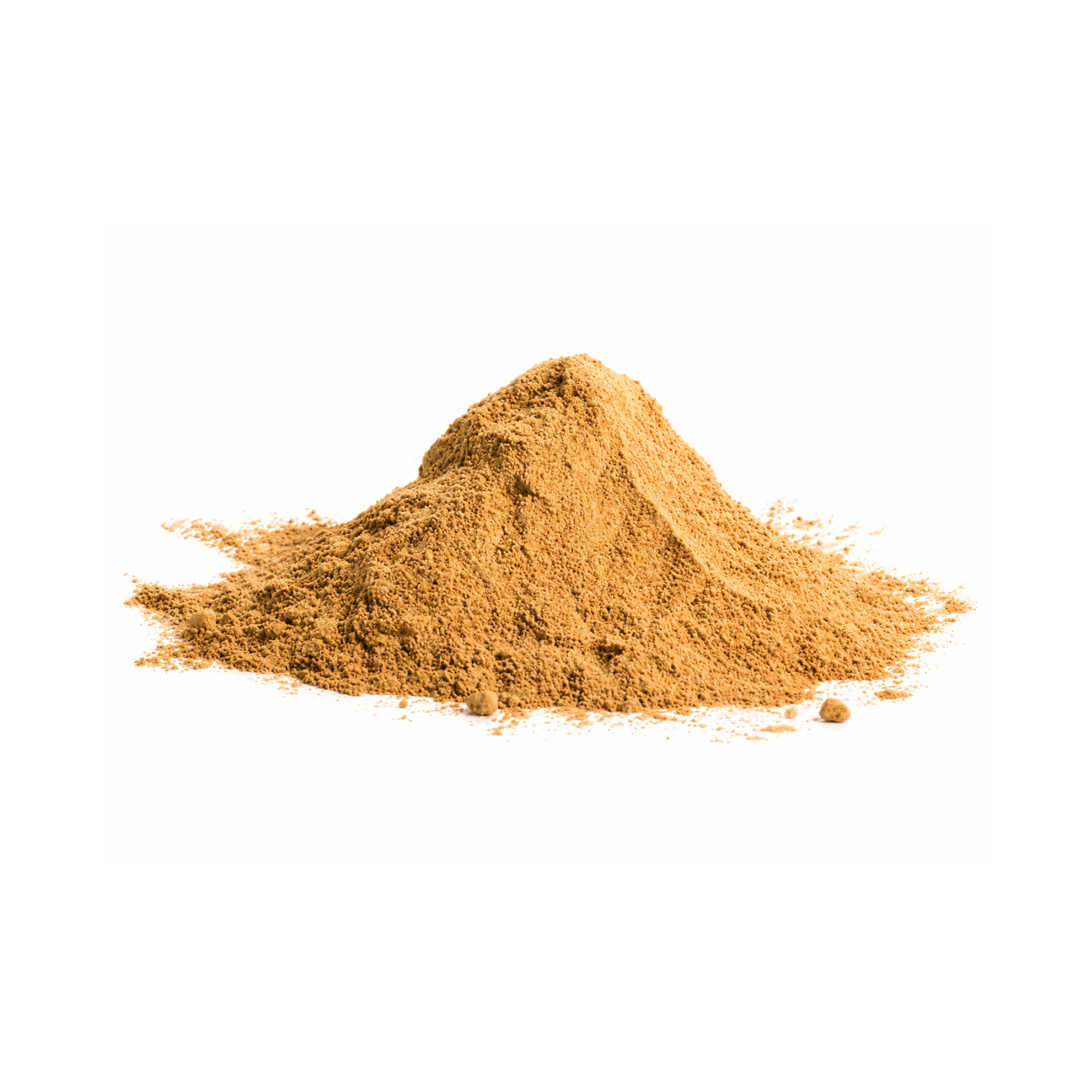 Steinpilzpulver 100g