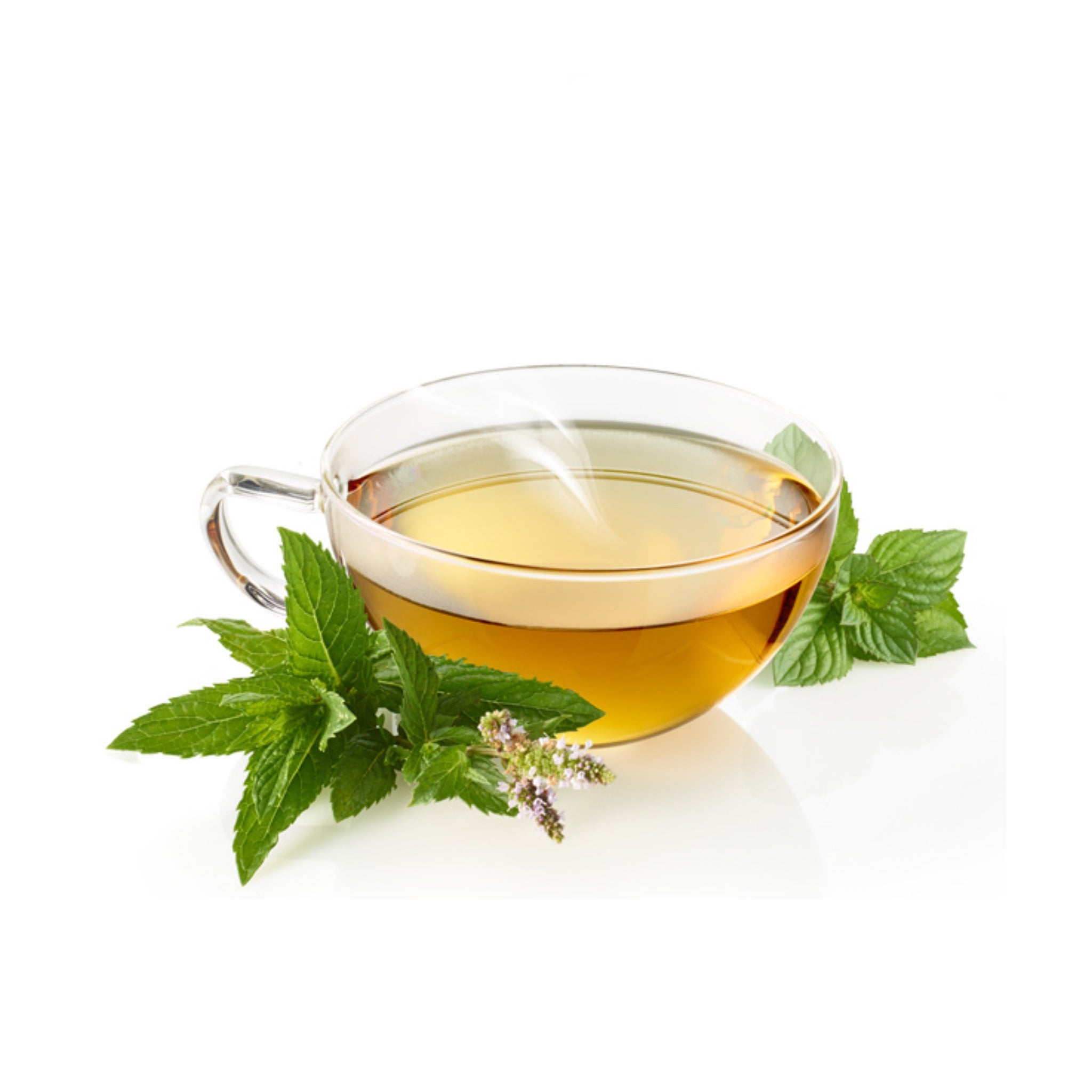 Tee Bergfrische Minze Bio 14g