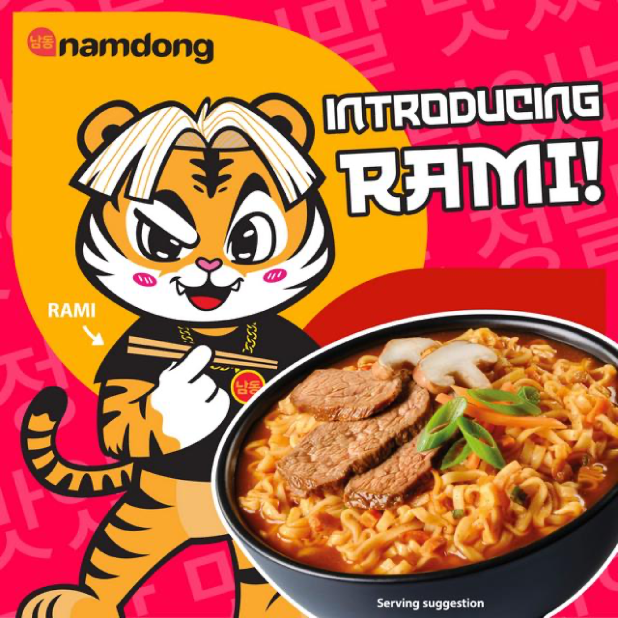 Beef Instant Nudeln 10 x 120g