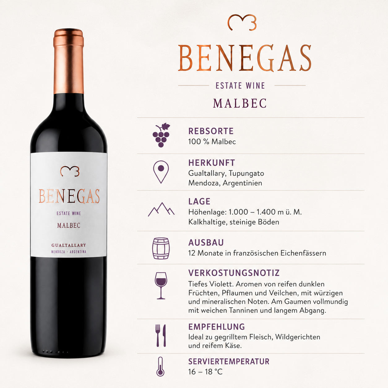 Red Wine Malbec Mendoza 2021 - 750ml