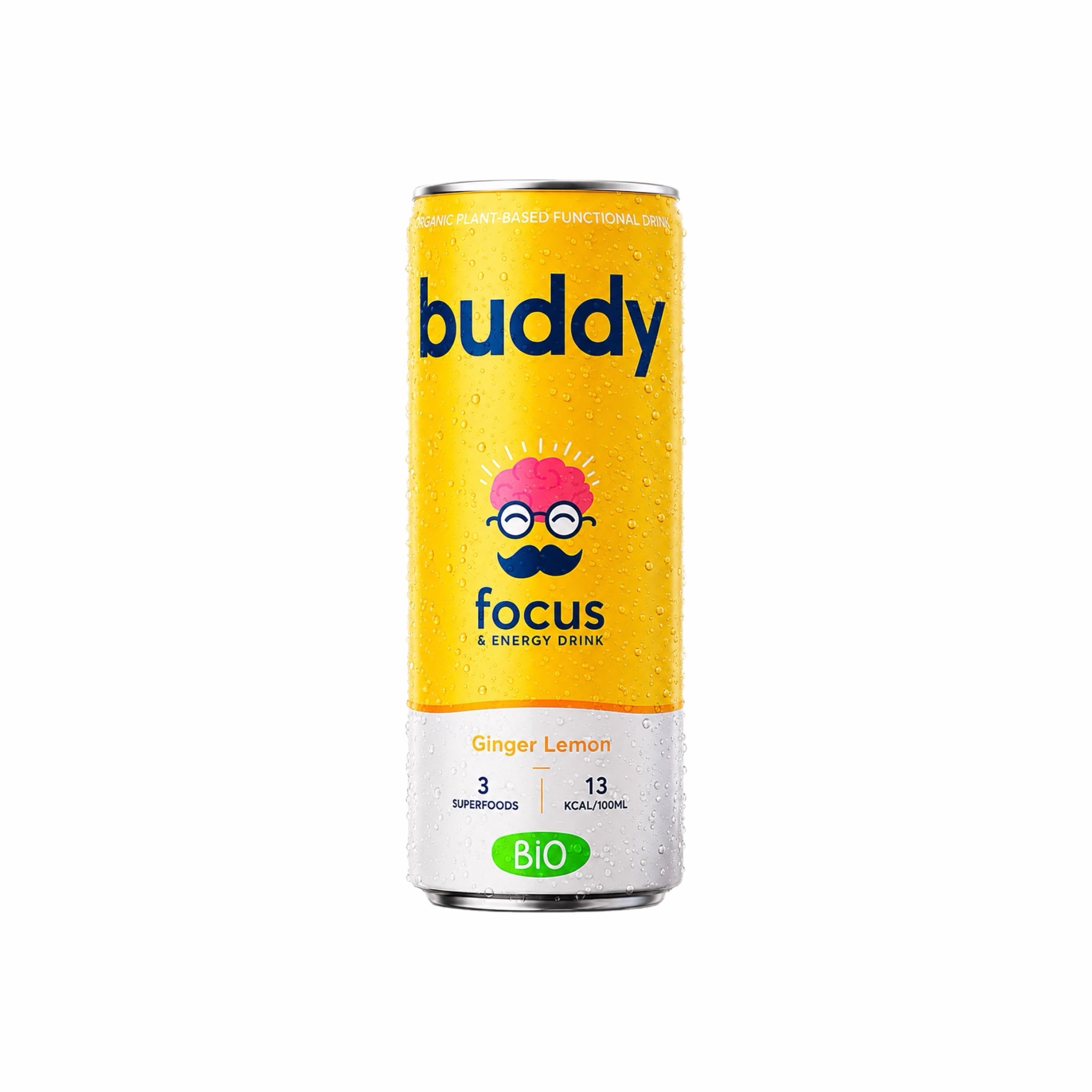 Natural Energy Drink - Ginger & Lemon Bio 250ml