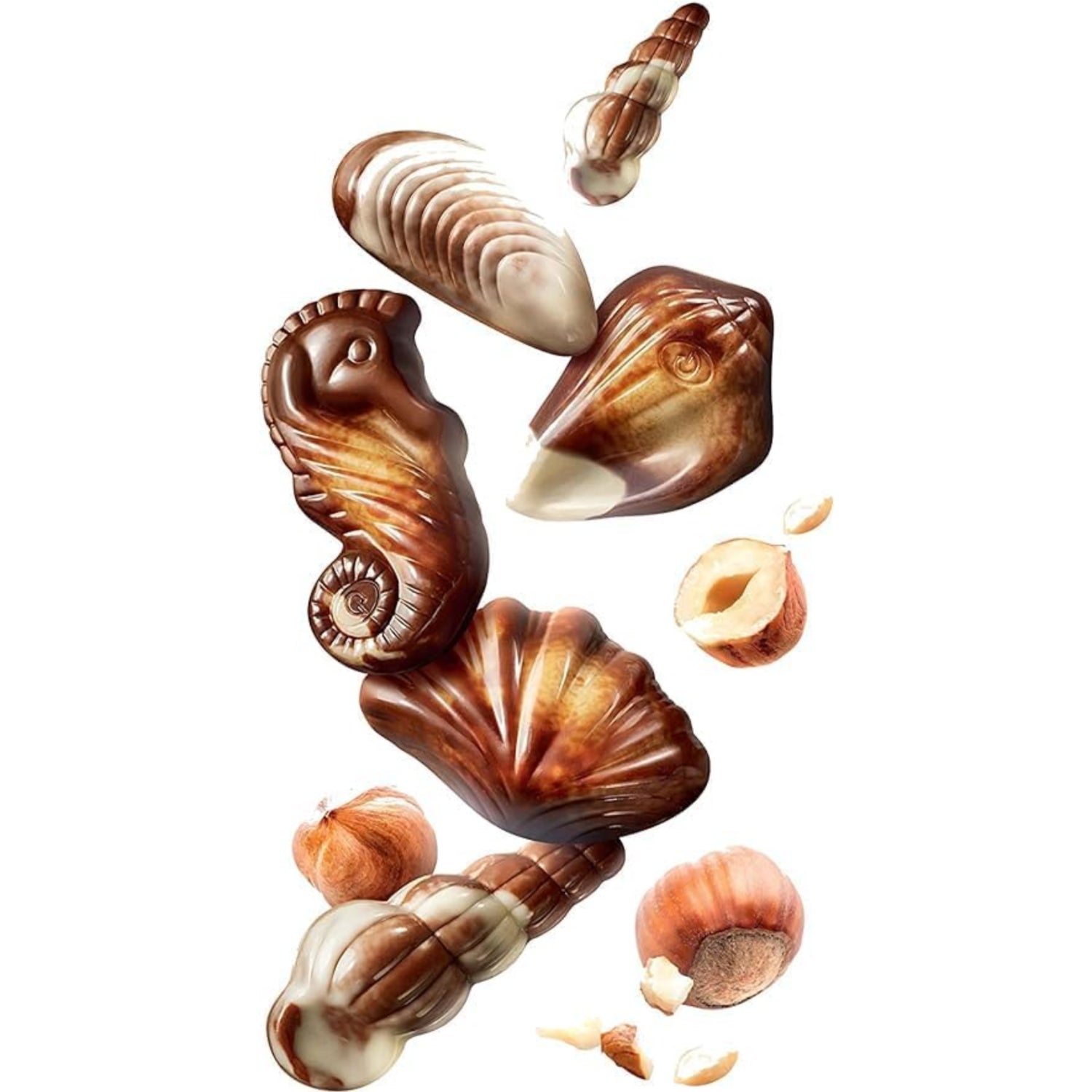 Pralinen Seashells mit Nuss-Nougat-Füllung 250g