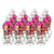 Heroines Drink Organic 12 x 330ml