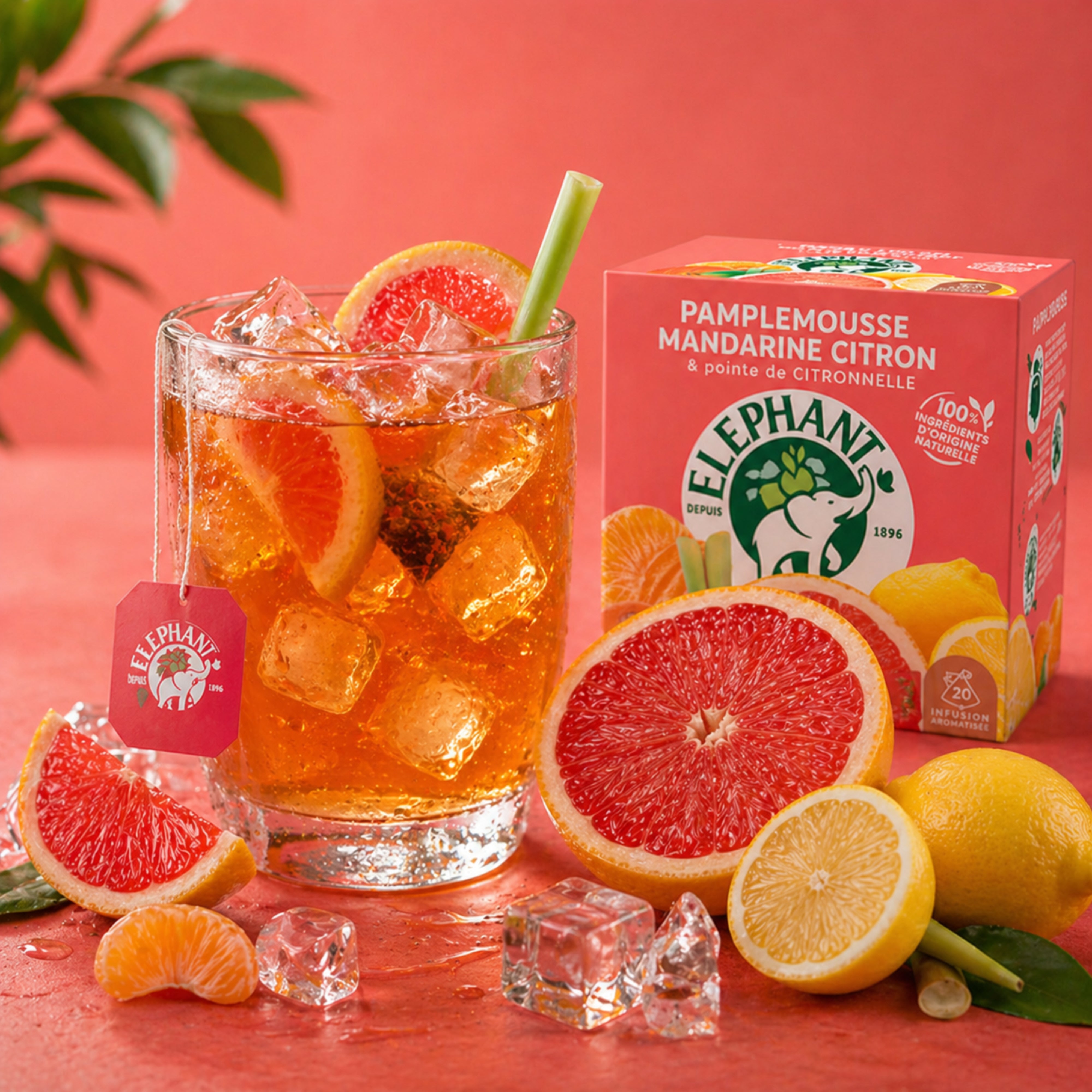 Infusion de thé Pamplemousse & Mandarine - 20 sachets