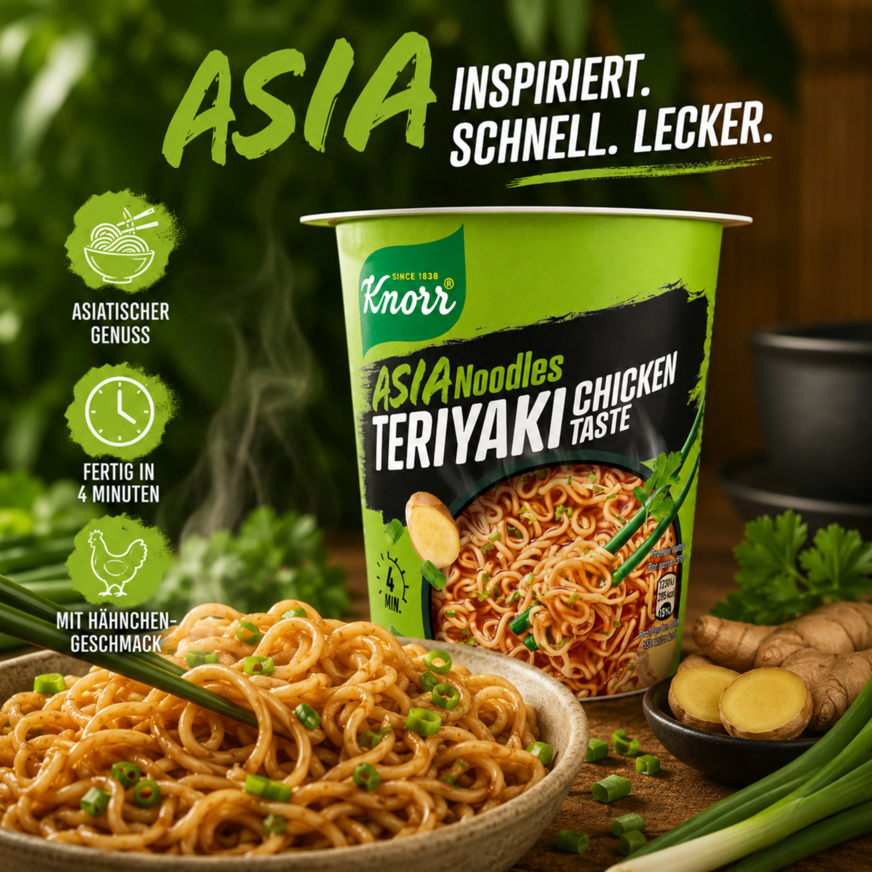 Knorr Asia Noodles Teriyaki Chicken Taste 65g
