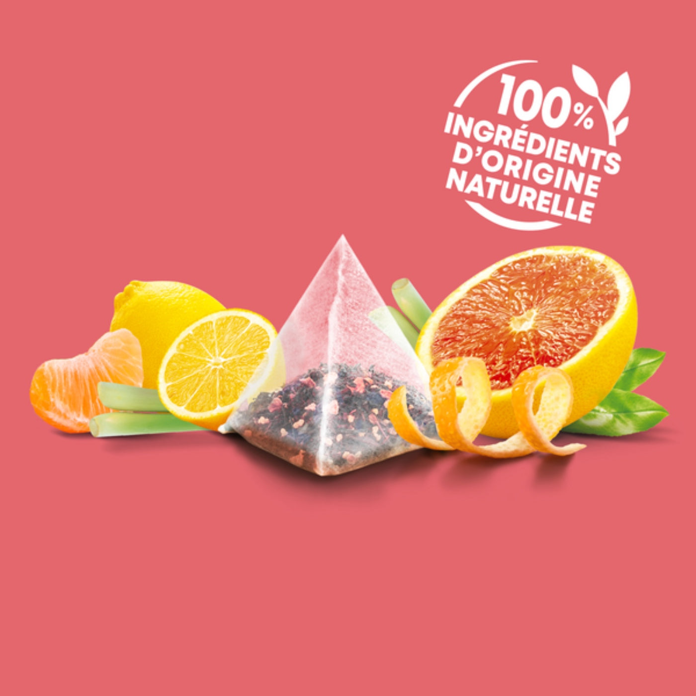 Tee Infusion Grapefruit & Mandarine Bio - 20 Beutel - 38g