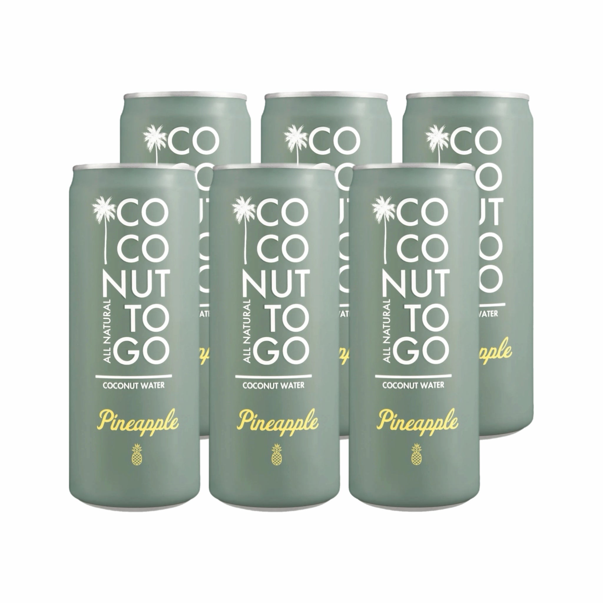 Coconut Water Pineapple 6 x 330ml