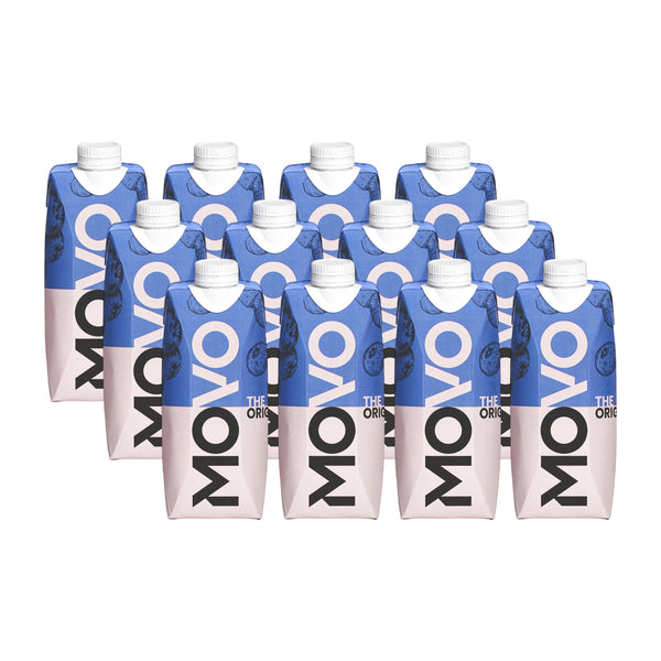 Protein Wasser - Blueberry 12 x 500ml