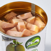Jackfruit in Wasser 565g